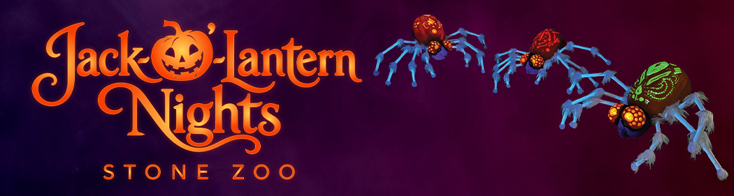 Jack-O'-Lantern Nights logo with lantern spiders