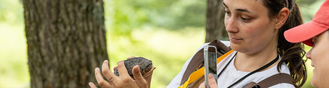 field conservation staff taking a photo of a turtle