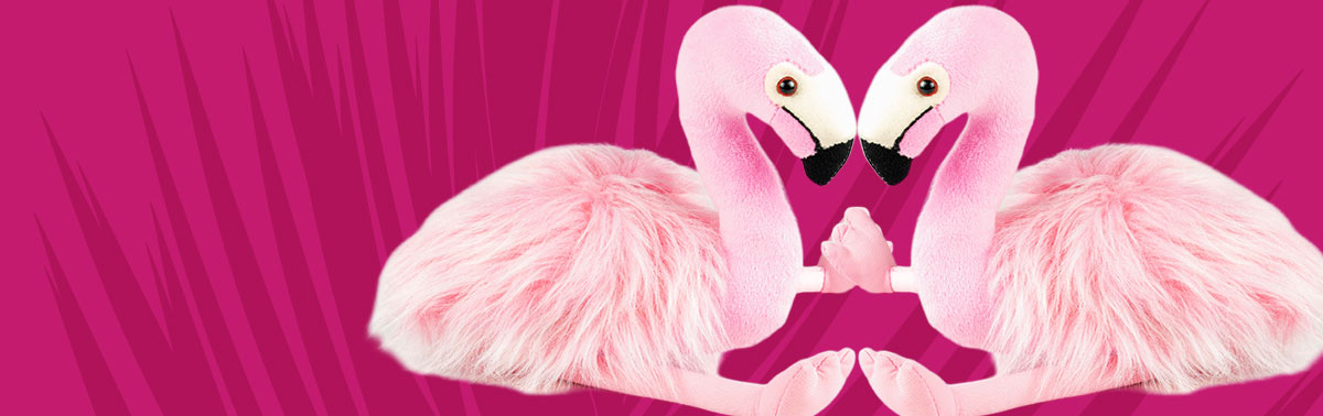 flamingo plush zoodopts