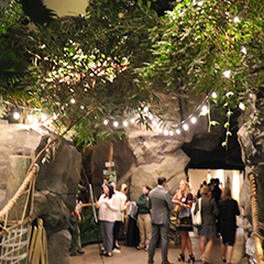 evening event in the Tropical Forest