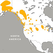 range map of the trumpeter swan